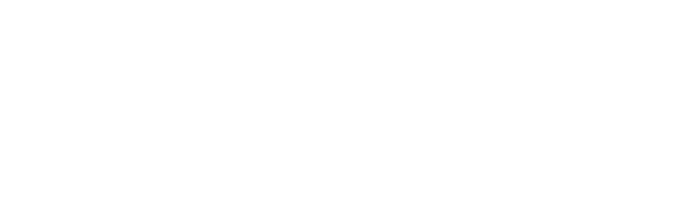 IDF